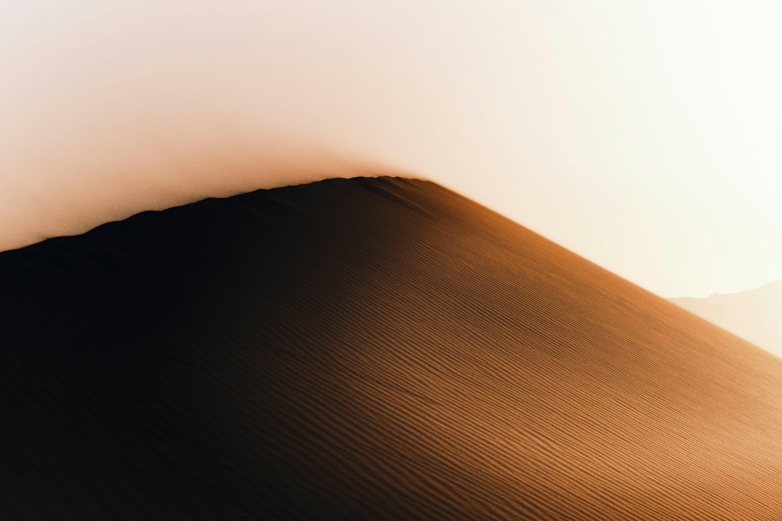 The ridge of a sand dune in soft morning light, its shadowed face falling away to the right.