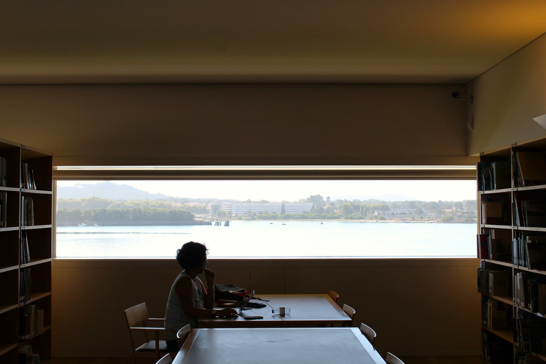 A person working at a long table in a book-lined room, framed by a wide window onto water.